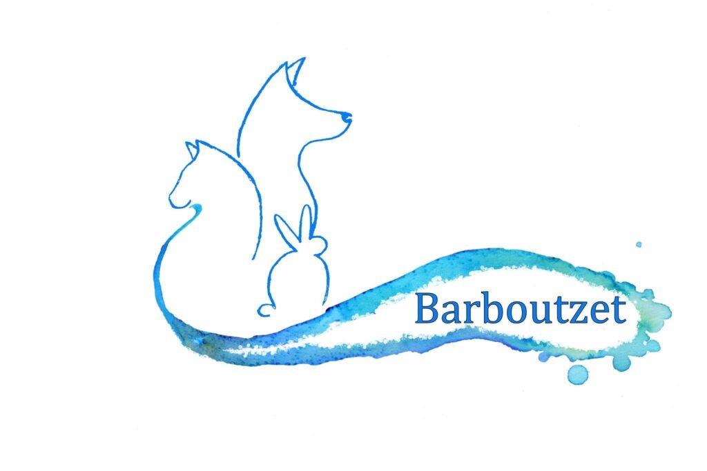 Barnoutzet